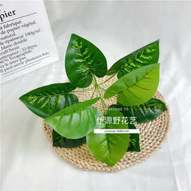 万年青 仿真绿植仿真植物万年青绿萝 跨境货源植物墙插花装饰配件