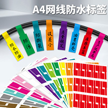 ���u���a�ӹ����lA4��ɫ�����z��ˮ��˺��|�W������P�;��|�˺�