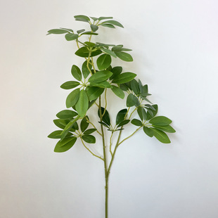 �͏d�����ٻ�����Gֲ�[�Oܛ�bľֲ��lؔ�����ƼҾ��R��ľ�b�