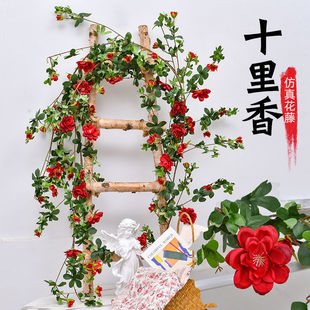 �����Nޱ���ٗl�҃�ܛ�b�bٻ����{�ܵ��b��ړ����汳�����쾰