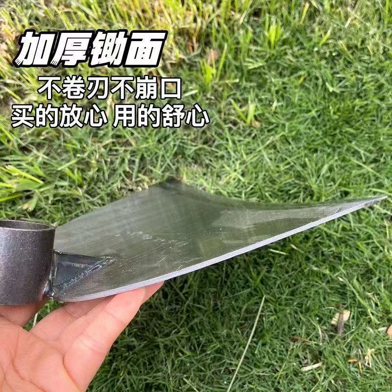 微信图片_202504141505372.jpg