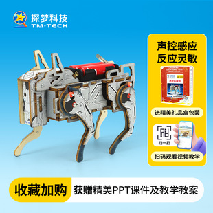 六年级男孩玩具