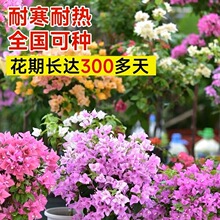 ����÷�������Դ��������ذ�ֲ���ļ��_���ܲ����҃��̨ͥԺ����