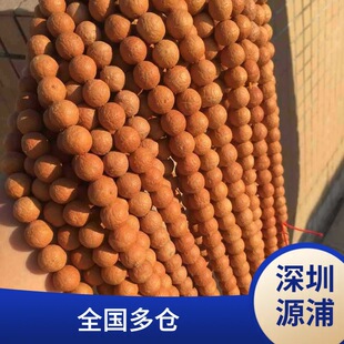 �Ჴ���P���������w����tƤСԭ���ֳ���������ִ���Ů��