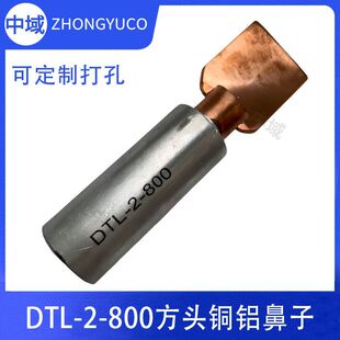 ����~�X����DTL-2-800/1000ƽ���ɴ��/�׾�/�׏���С֧��ȫҎ��