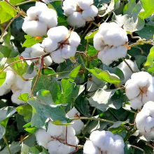 l޻юrԮa޻Y޻ɽ|Fժ޻ԣ