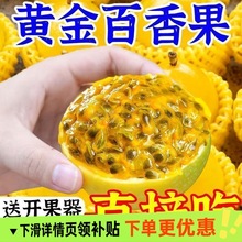 �J��9̖�S�������ЋDˮ�����r�V��������u��ԭ�{����������]