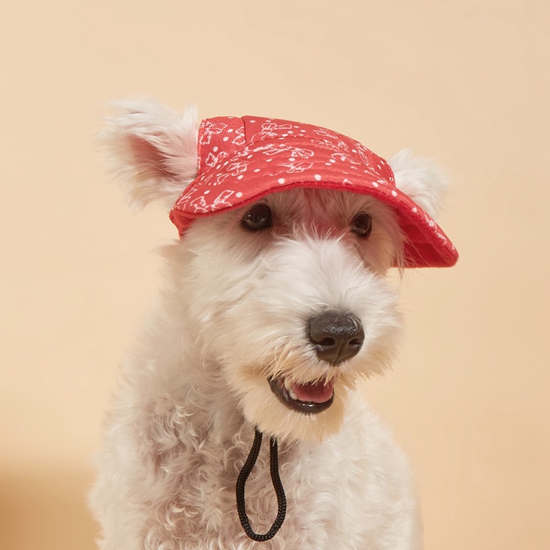 Simple Style Polyester Cartoon Pet Hat display picture 15