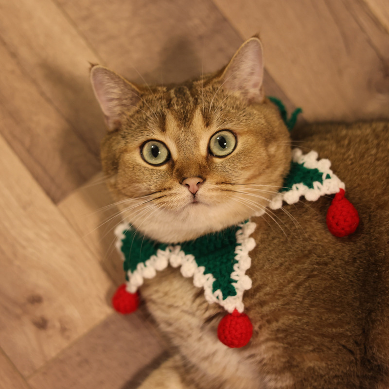 Christmas Pet Collar Variation 5