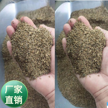 ���l�������޸��ѹ�ӢҰ�˷N���S���ض����Ŷ��N��ʳ���߲��ײ��N