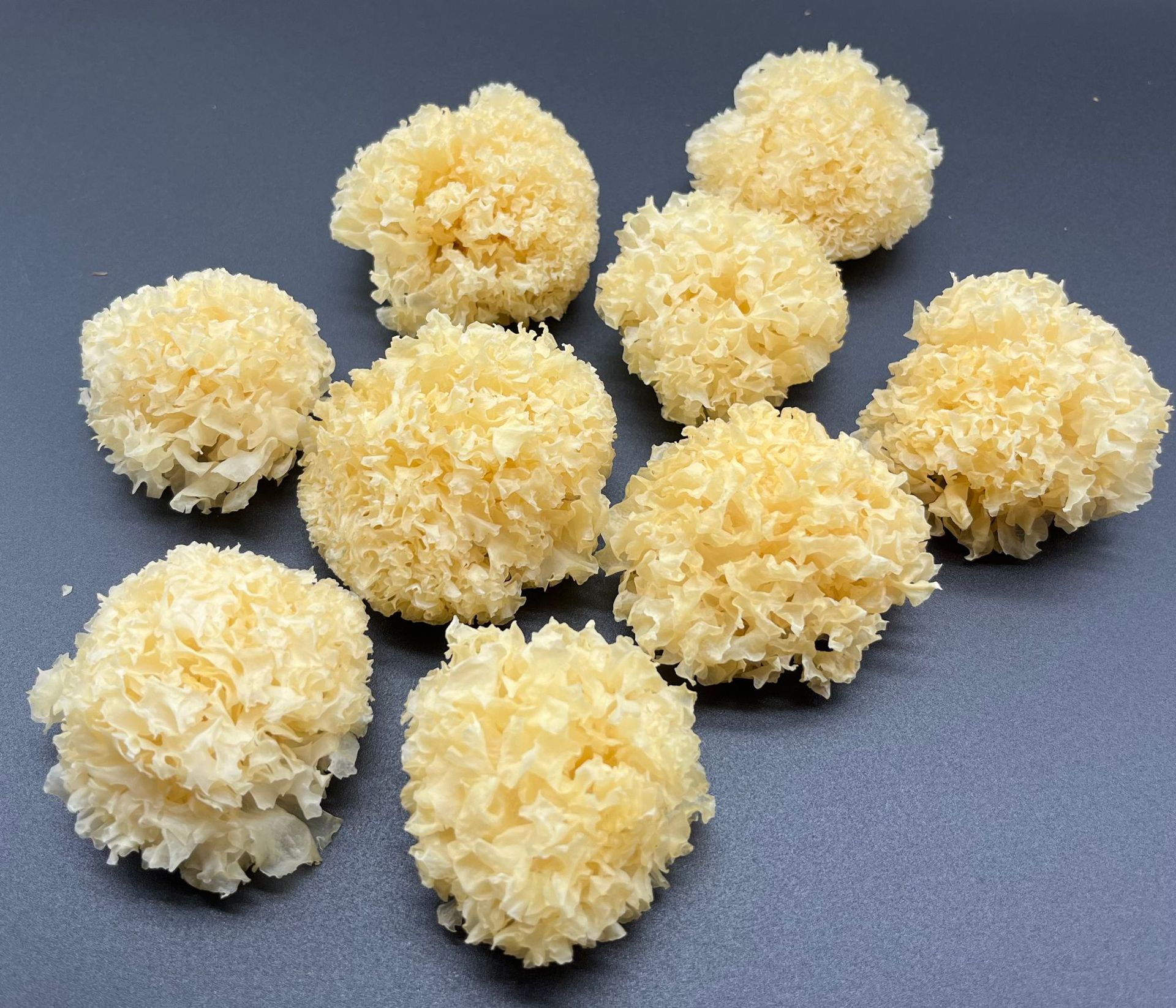 선택된 작은 트레멜라