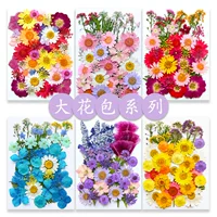 Сухой цветок тисненый материал сумка цветок DIY Закладка капли клея сушеный цветок оболочка мобильного телефона образец тисненого цветочного растения