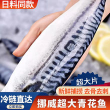 ໨~ŲM໨~Ƭ̖TE~ʽ}nռ~