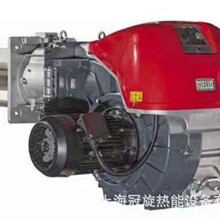 �N�����������·����ȼ���C RIELLO偠tһ�λ�ȼ����RS44