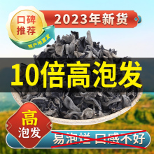 秋木耳黑木耳干货2023年新货自产干木耳留坝特产无根肉厚椴木木耳