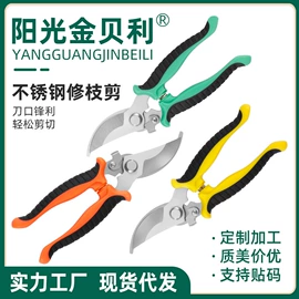 厨用剪刀;修枝剪;家用剪刀