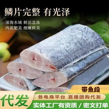 新鲜深海带鱼段野生带鱼刀鱼新鲜冷冻海鲜舟山带鱼商用批发