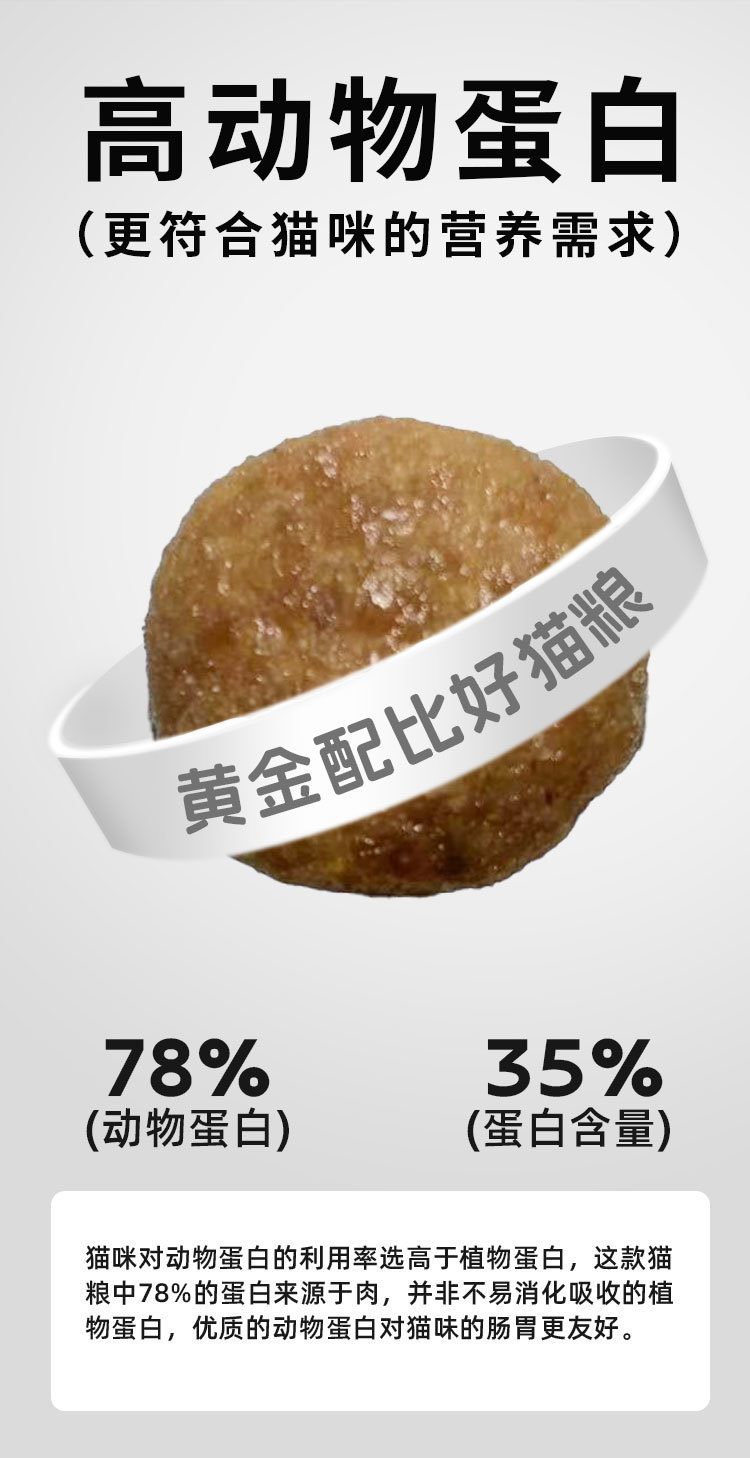 323f2155-46a3-4d2a-b6aa-4211371614a1.jpe