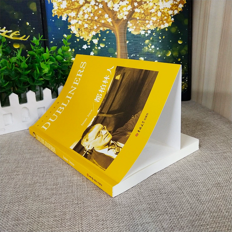 Дублинцы, читатель Дублинцы книга искренняя чистая английская без удаления классика Джеймса Джойса World