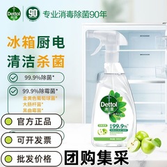 Dettol クリーナー ホームスプレー 多機能消臭 冷蔵庫 洗える 赤ちゃんのおもちゃ 消毒液として使用可能