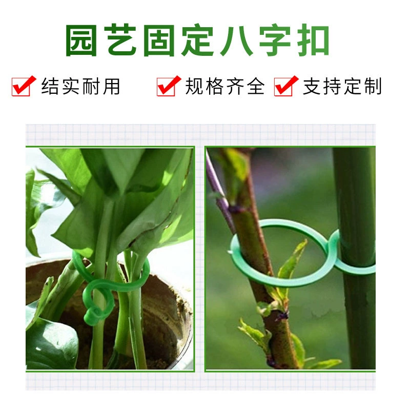 Садовая восьмерка пряжка банта пряжка тыква большая восьмерка растительная связка стяжка бандажная фляжная зажим для роста цветов