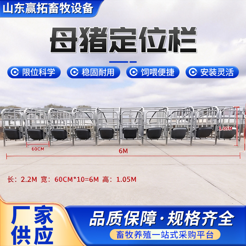 Cercas de límite de piso de stock de fábrica Cerdas de posicionamiento Cerdas de cría de ganado Tubo de acero galvanizado en caliente Cercas de posicionamiento de piso