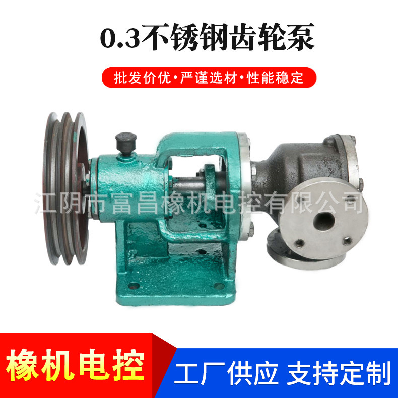 0.3不锈钢齿轮泵 厂家供应不锈钢齿轮泵0.3寸转子泵批发泵批发