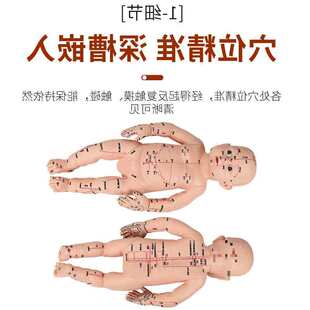 �냺���wģ�̓�ͯ�������wģ��ᘾ����tͨ��ѨλС�����÷���ģ��