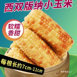 ������p��{��ŴС�������r����bܛŴ������ͯ��ʹּZ��Ŵ����