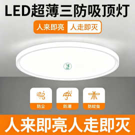 超薄LED三防声光控吸顶灯楼梯过道灯楼道走廊阳台圆形220mm声控灯