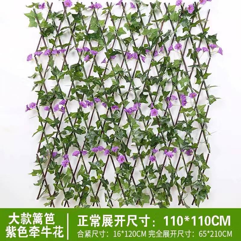 오렌지 1.2m 보라색 나팔꽃