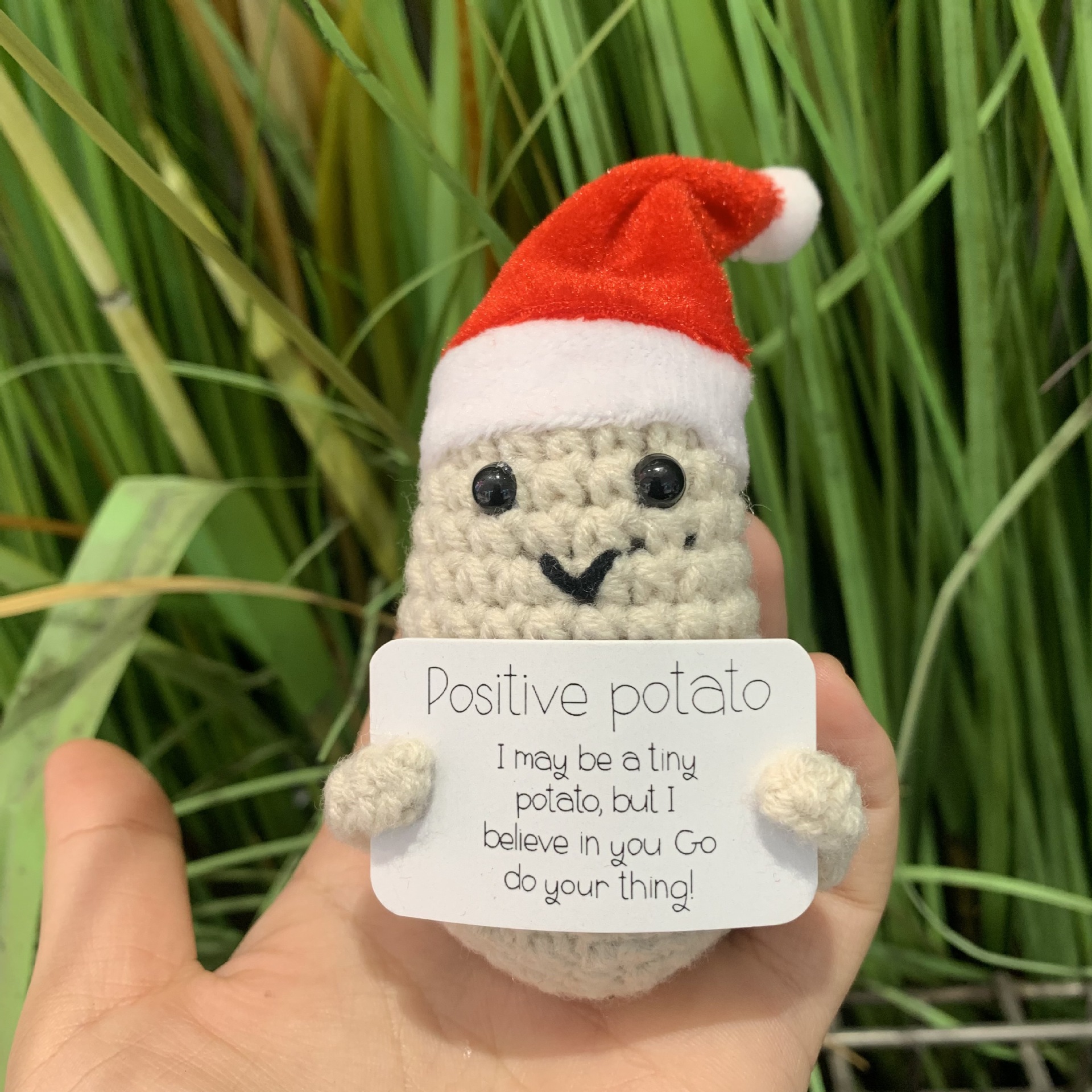 크리스마스 감자