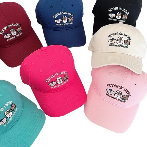 Japanese sweet and cute puppy embroidered duck cap for women spring and summer sunshade, versatile face-showing little couple baseball cap trendy