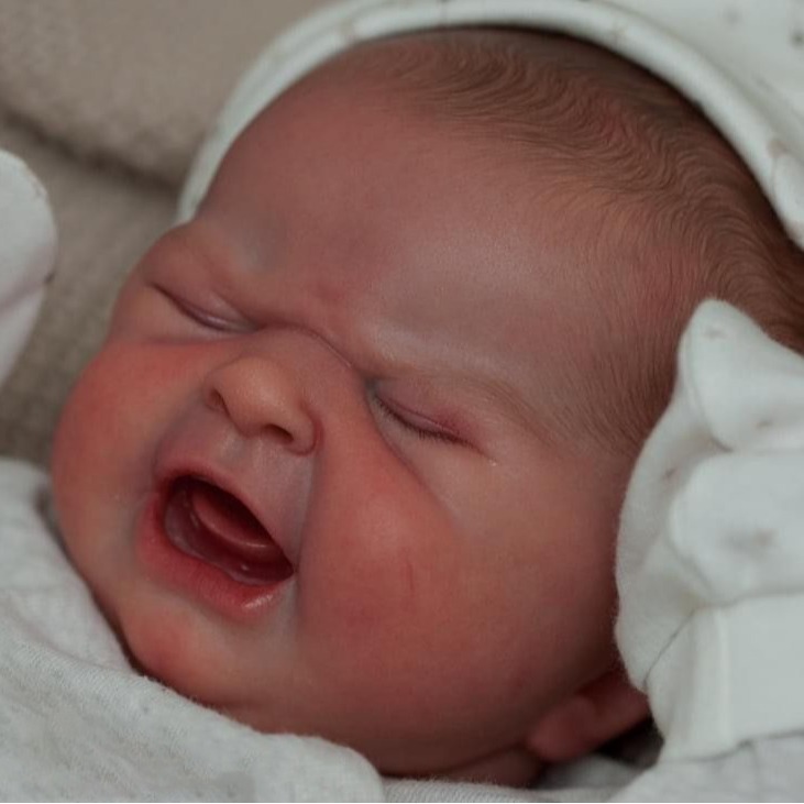 Muñeca Bebé Reborn Realista NPK First Cry de 49 cm, Fuente de Suministro para Comercio Electrónico Transfronterizo, Dropshipping