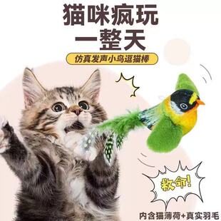 ؈���С�B�l���˻��ӽ␞С؈�����w����؈������Ʒ؈����K