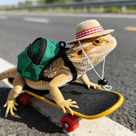 其他小宠用品;猫猫窝/笼/垫;狗狗玩具