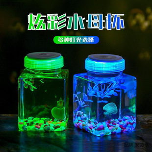�l����~�����W�Ў��tҹ���~�׸ה[�������~�⎧�����w�\ݔƿ��ˮ