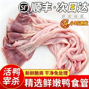 ����S���]�����r�����ʳ����ʳ�������c��������θ���c�u؛