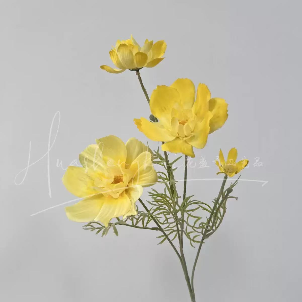 게상꽃