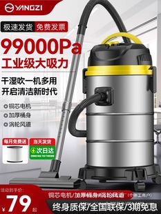 Yangzi Vacuum Cleaner Large Suction Household Power Car Washing Decoration US Sewing Commercial Vacuum Cleaner Wholesale