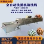 保洁大型自动鸡蛋洗蛋机