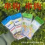 垂钓伊势尼尼龙线海竿仕挂