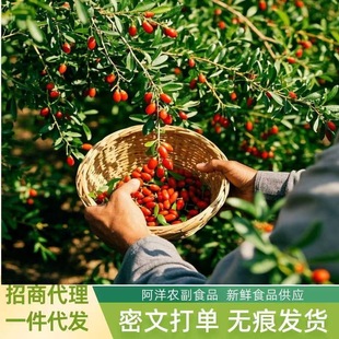 ���l������轮���������^����؛�����Ќ�����r���������ˮ���