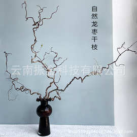 中式古风自然龙枣枝干花干枝弯曲树枝造景意境造型插花装饰枯木