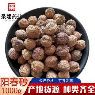 ɰ�� ꖴ�ɰ��ɰɰ����1000�a�ظ��� ���l����ɰ��֧�ִ��l