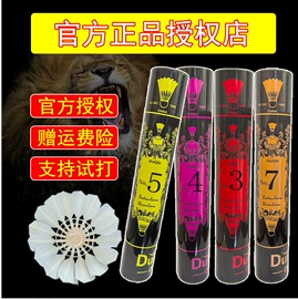 羽毛球;体质测试仪器;羽毛球拍