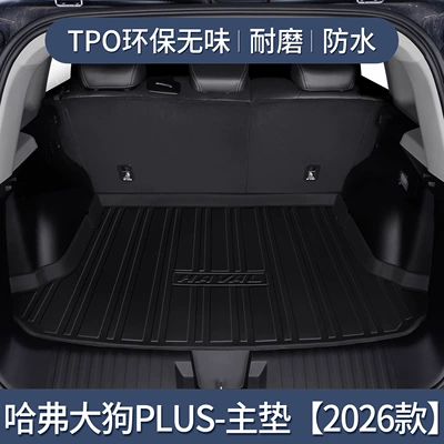 Special Car Trunk Mat, Trunk Mat - exclusively-for-haval-dargo-plus-main-pad-2026-model-3d-three-dimensional-high-edge-10090