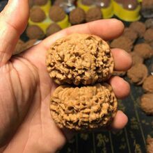 ������Ұ���50mm�������¹�ñ���{�P������y�Ͻ�ʯ�{���^������