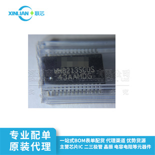 ģ�Mǰ�� AFE WM8213SCDS/V WM8213SCDS/RV SSOP-28 24MSPS 16bit