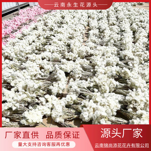 ���� ��ʯ����ѩɏ�ɻ������������Ҿ��b������ϏS�Ҳ������l